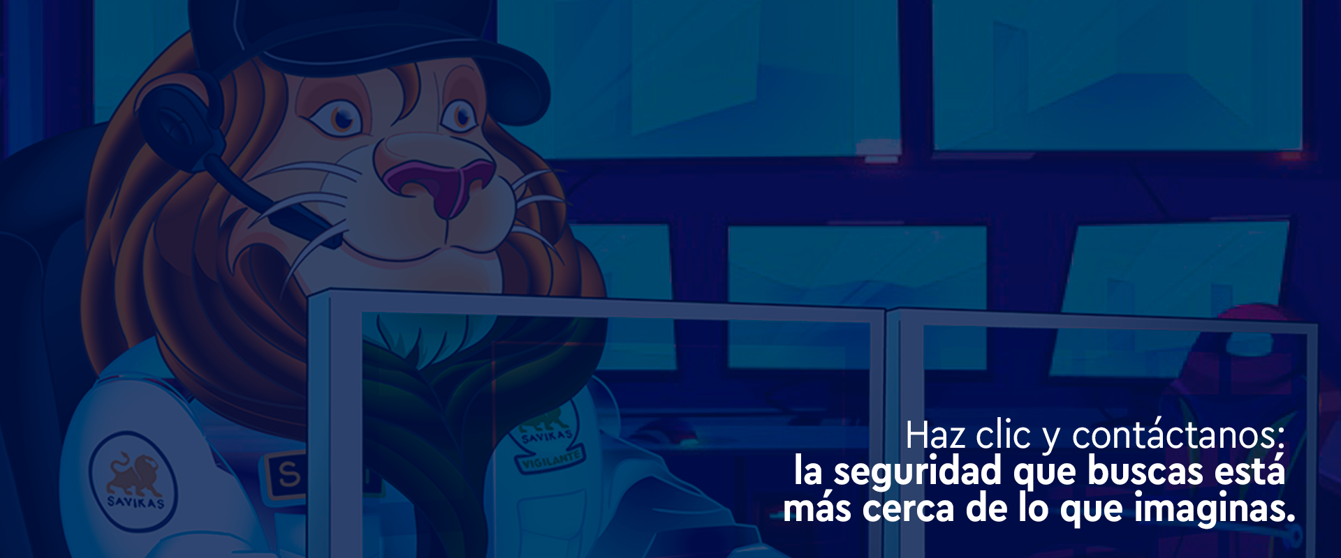 Seguridad Electrónica Savikas