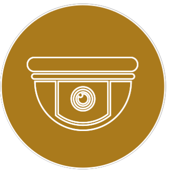 videovigilancia icono